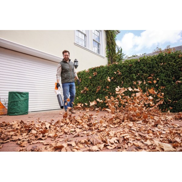 Souffleur BGA  50 - Sans batterie